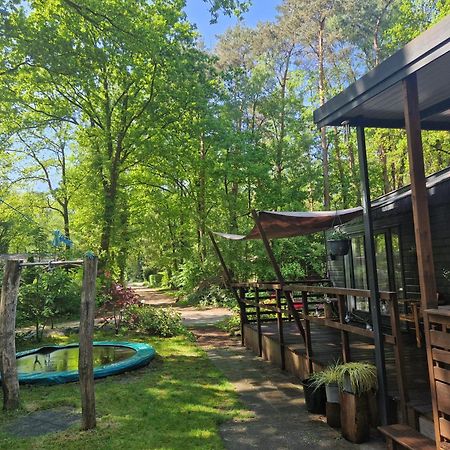 Heerlijk Huisje In Het Bos Op Chaletpark Kempenbos Diessen Exterior photo
