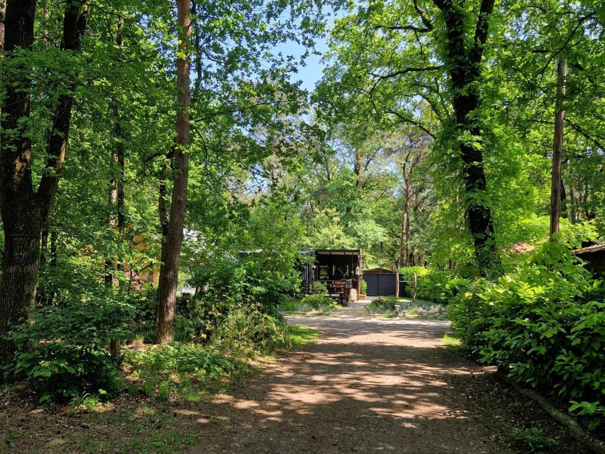 Heerlijk Huisje In Het Bos Op Chaletpark Kempenbos Diessen Exterior photo